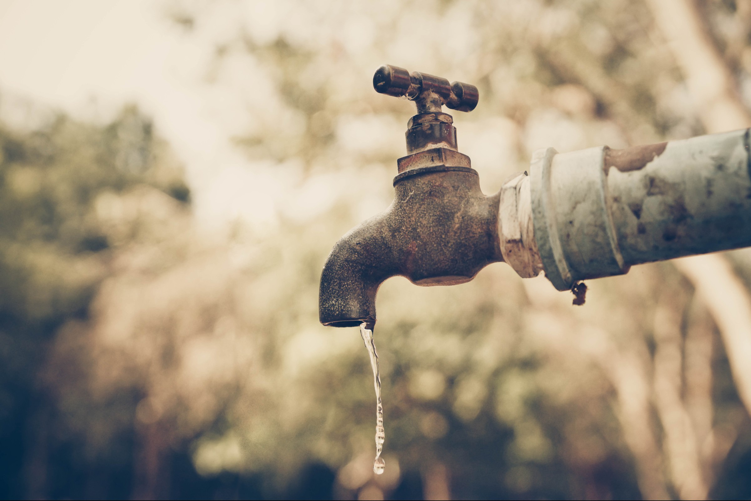 Laboruntersuchung einer Trinkwasserprobe auf mikrobielle Inhaltsstoffe