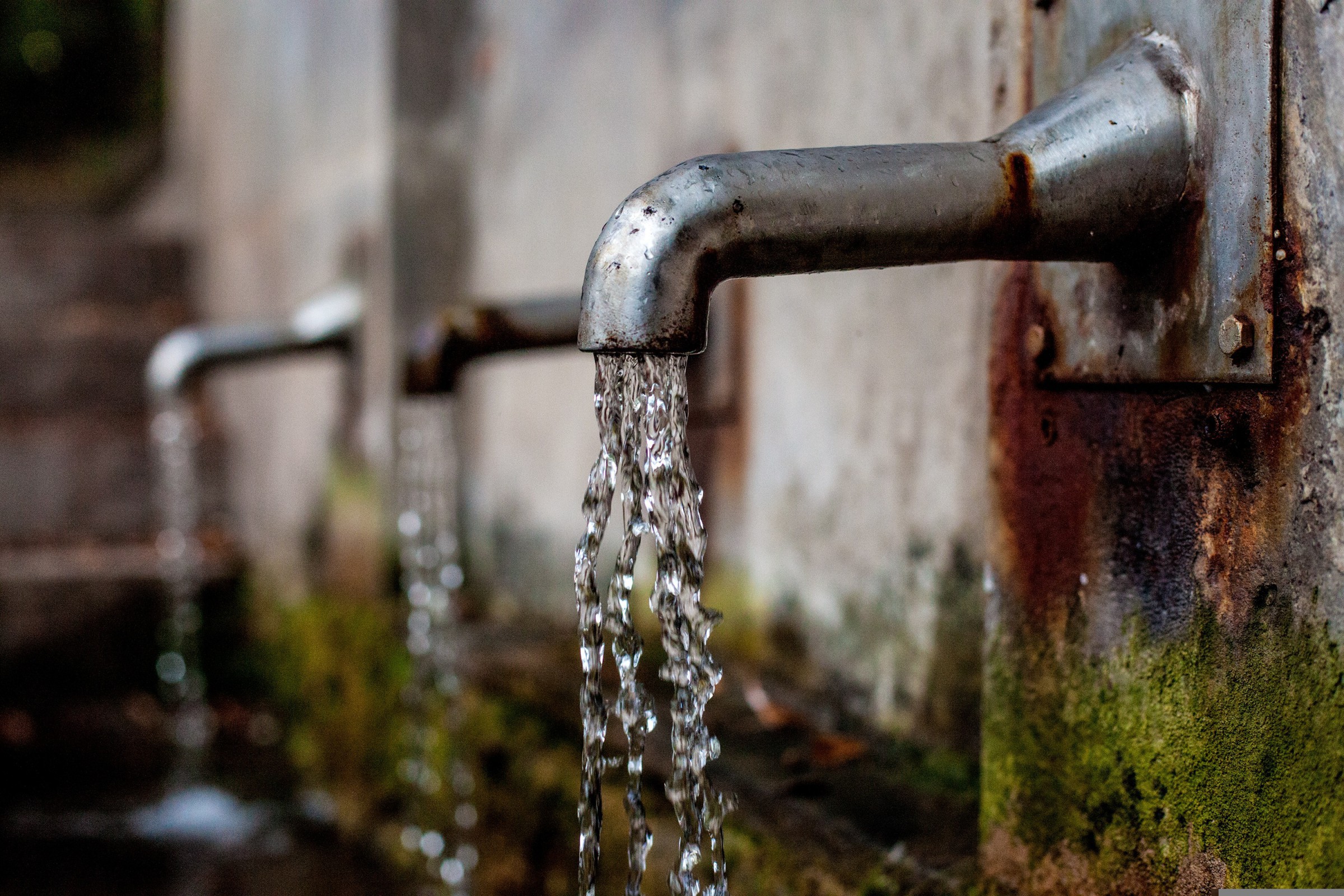 Trink- und Tränkenwasser zur prophylaktischen Analyse bei ZAKlab